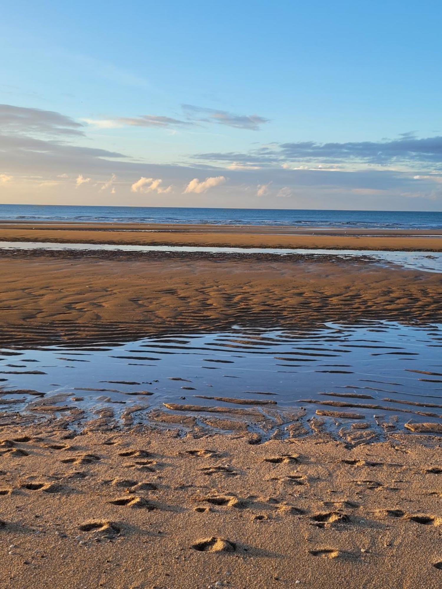 "Mon Evidence!" Magnifique Appartement Vue Mer Et Acces Direct A La Plage วิลเลร์-ซูร์-แมร์ ภายนอก รูปภาพ